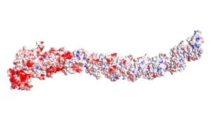 Uma previsão de estrutura para uma proteína gigante do tipo 'Dockerin', uma categoria cunhada pela equipe de West-Roberts. Crédito: West-Roberts, J. et al./ bioRxiv