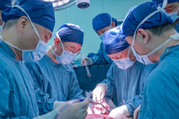 Cirurgiões do Hospital Xijing em Xi'an, China, realizaram o primeiro transplante de um fígado não humano em um corpo humano. Crédito: Hospital Xijing, Universidade Médica da Força Aérea em Xi'an, China.