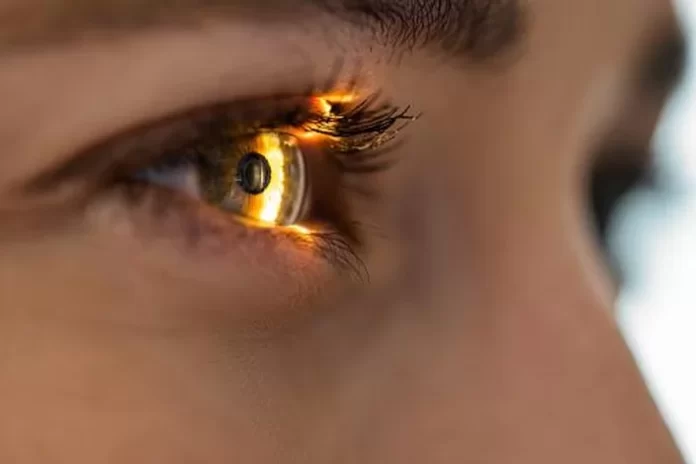 Painéis solares nos olhos podem restaurar a visão, revela estudo
